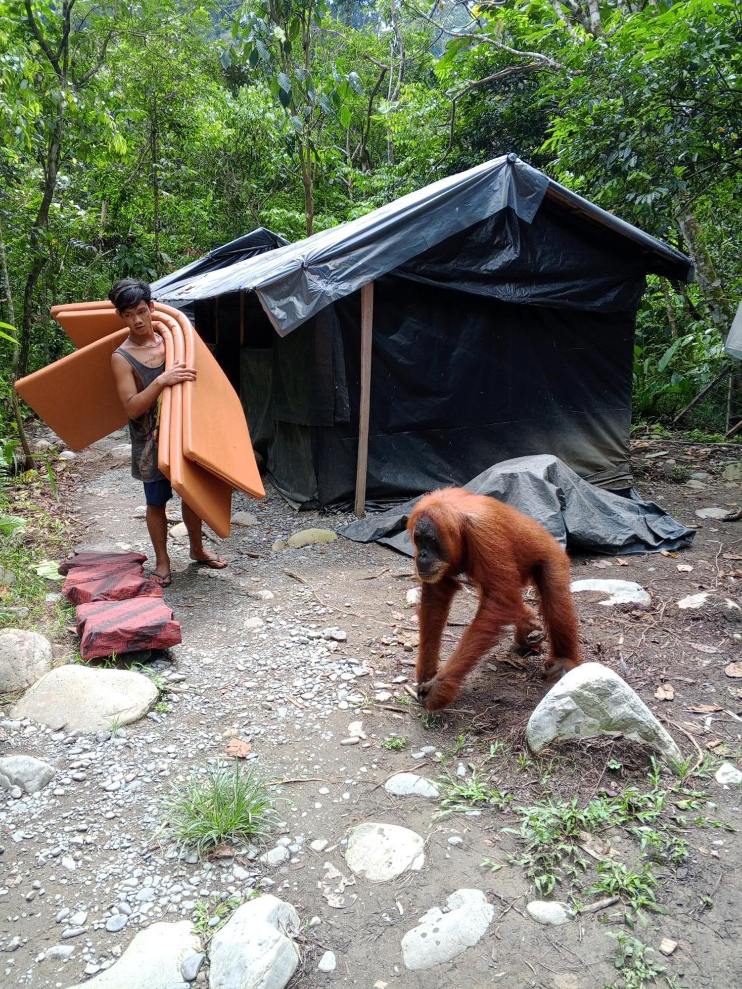 Sama Sama Homestay & Trekking Only Stay Here Book Trekking And Transport With Us 부킷 라왕 외부 사진