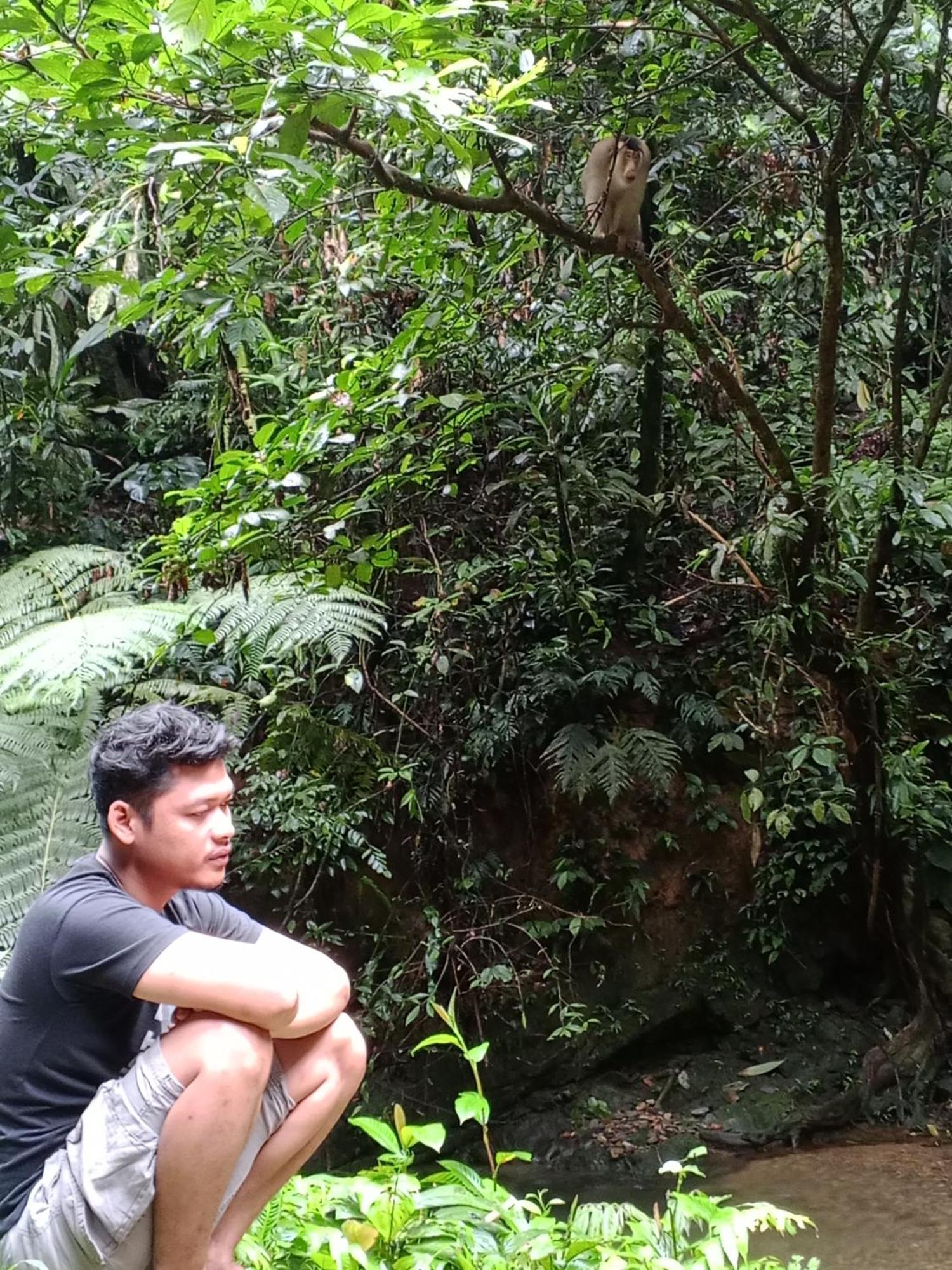 Sama Sama Homestay & Trekking Only Stay Here Book Trekking And Transport With Us 부킷 라왕 외부 사진
